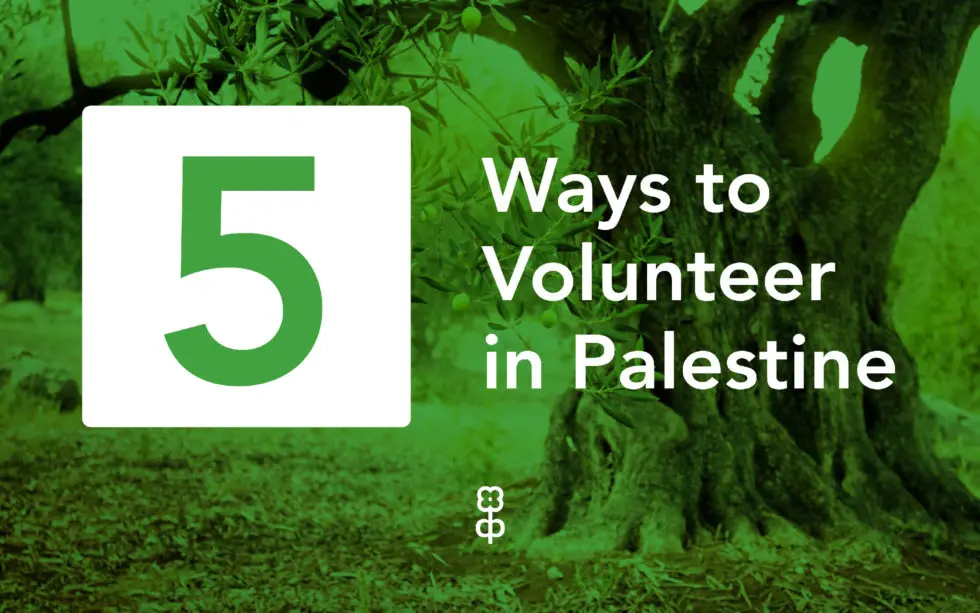 5 Ways to Volunteer in Palestine this Summer