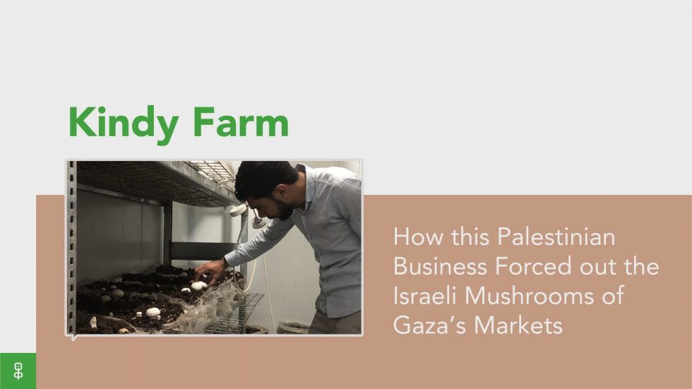 How this Palestinian Business Forced out the Israeli Mushrooms of Gaza’s Markets