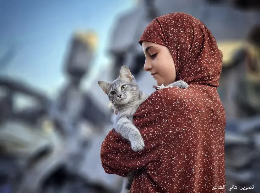 What are the people in Gaza doing for mental health right now? 