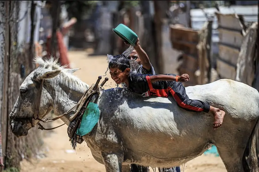 Mutual Aid in Gaza