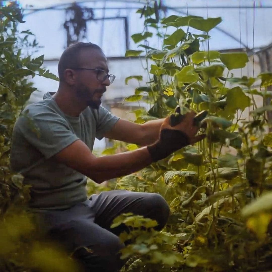 BuildPalestine Is Betting on Social Innovation as a Tool for Liberation