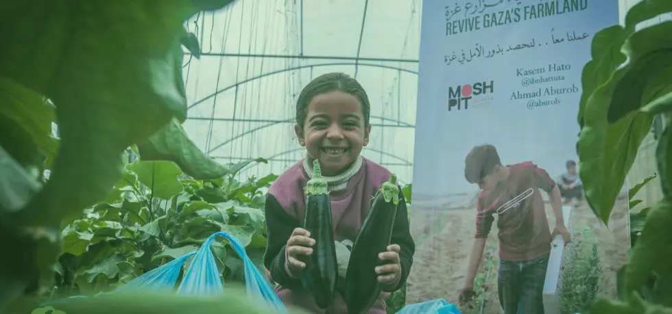 11 Powerful Stories of Palestinian Social Enterprises Defending Their Land