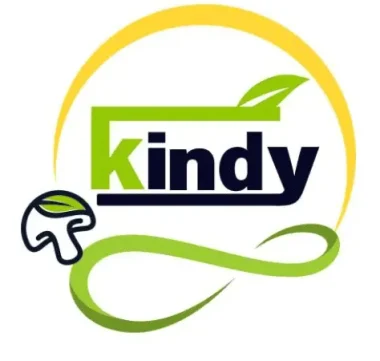 Kindy Logo