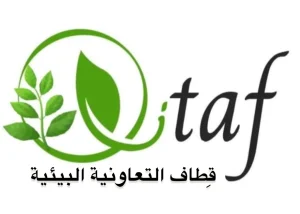 Qitaf Logo